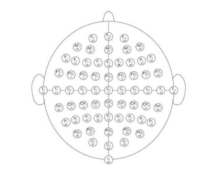 EEG project illustration